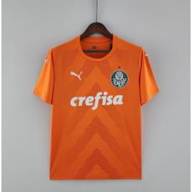 Camiseta Palmeiras Goalkeeper Orange 22/23