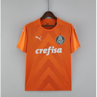 Camiseta Palmeiras Goalkeeper Orange 22/23