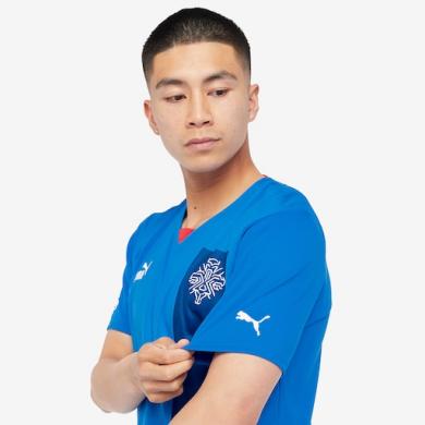 Camiseta Islandia Primera Equipación 2022