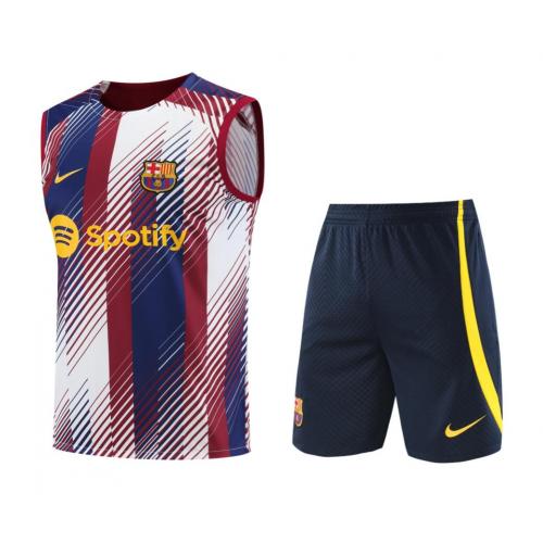 Camiseta Barcelona 2023-2024 Pre-Partido Liga – Camisetas Futbol y  Baloncesto