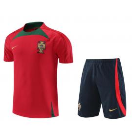 Camiseta Fc Portugal Pre-Match 23/24 + Pantalones