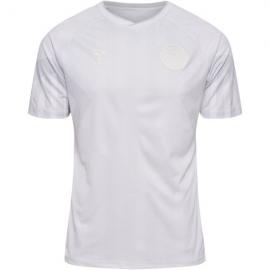 Camiseta Dinamarca Segunda Equipación Mundial Qatar 2022