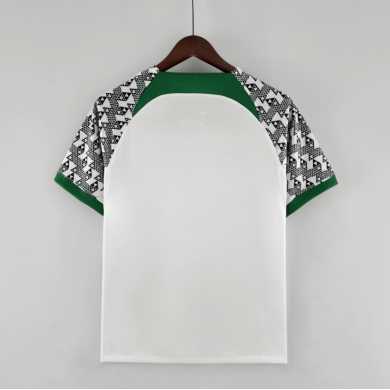 Camiseta Nigeria 2022