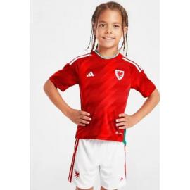 Camiseta GALES Primera Equipación Mundial Qatar 2022 Niño