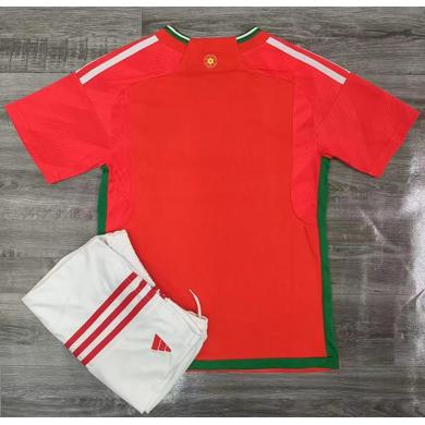 Camiseta GALES Primera Equipación Mundial Qatar 2022 Niño