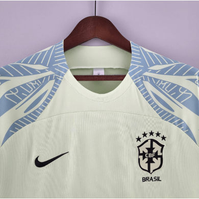 Camisetas Brazil 2022 Traje De Entrenamiento