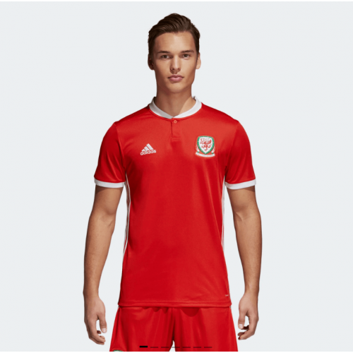 Chirrido O Radar CAMISETA OFICIAL SELECCIÓN DE GALES LOCAL 2018