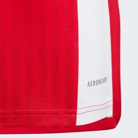 Camiseta Ajax Primera Equipación 23/24 Niño
