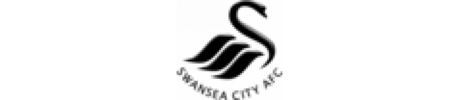 Swansea Swansea